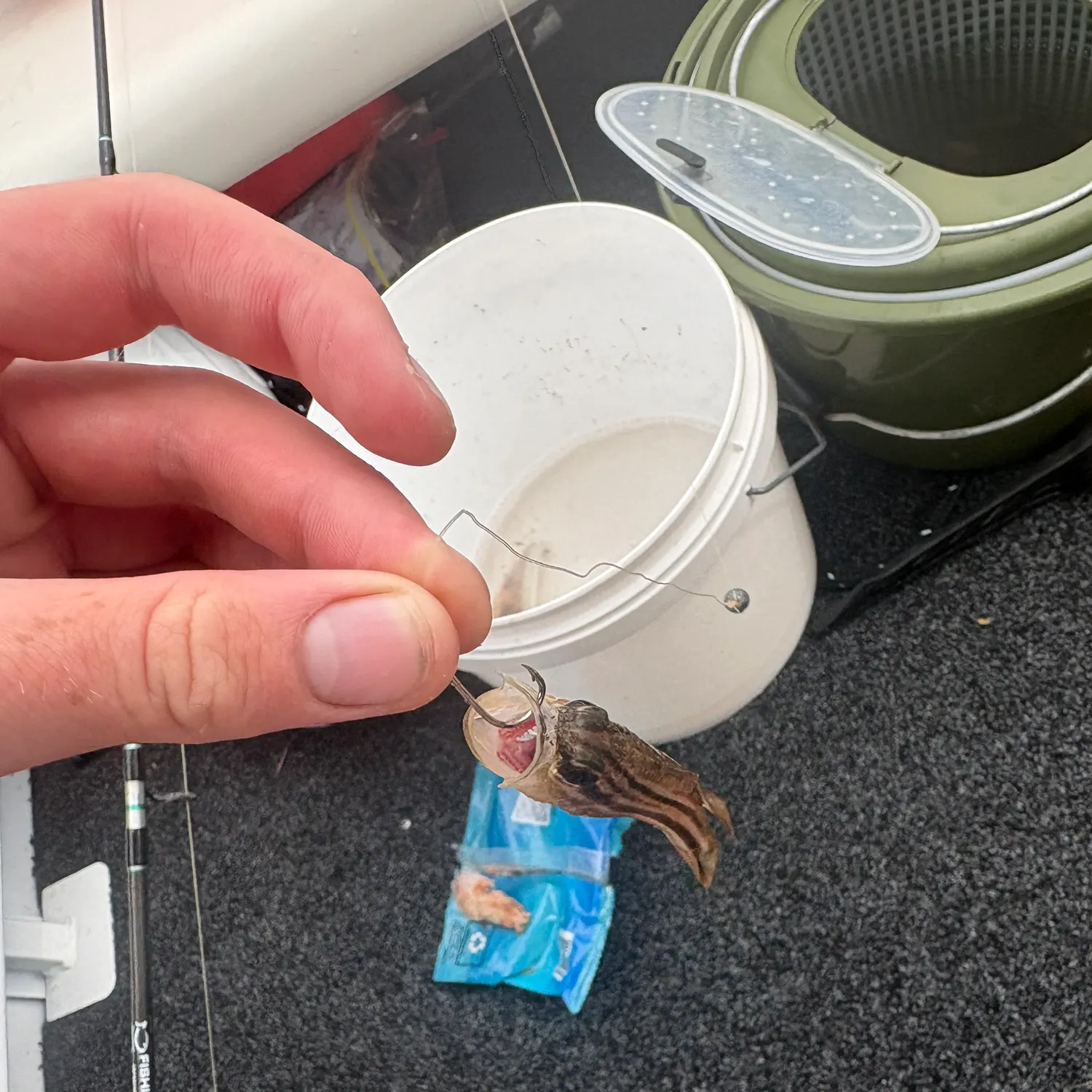Fish caught on Fishbrain