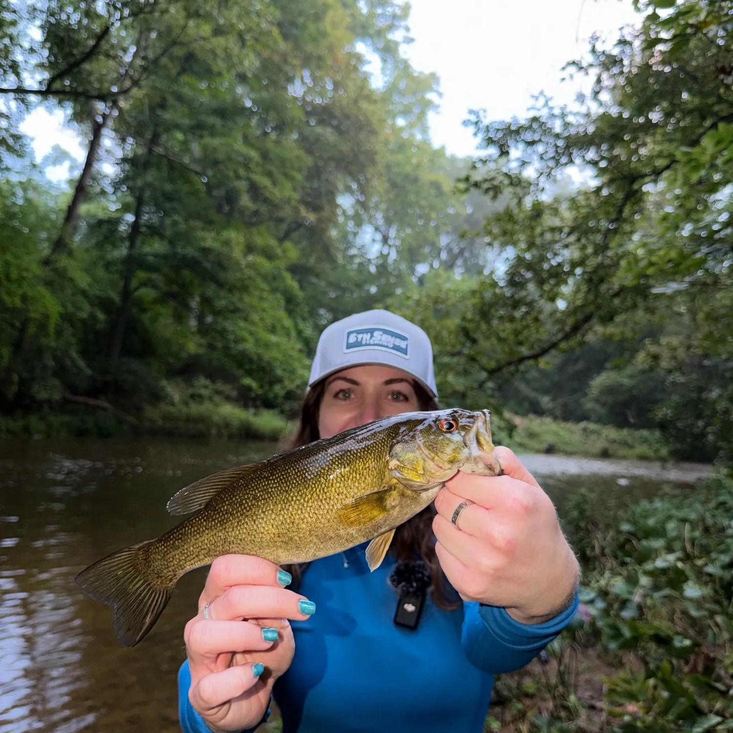 Smallmouth bass caught on Fishbrain