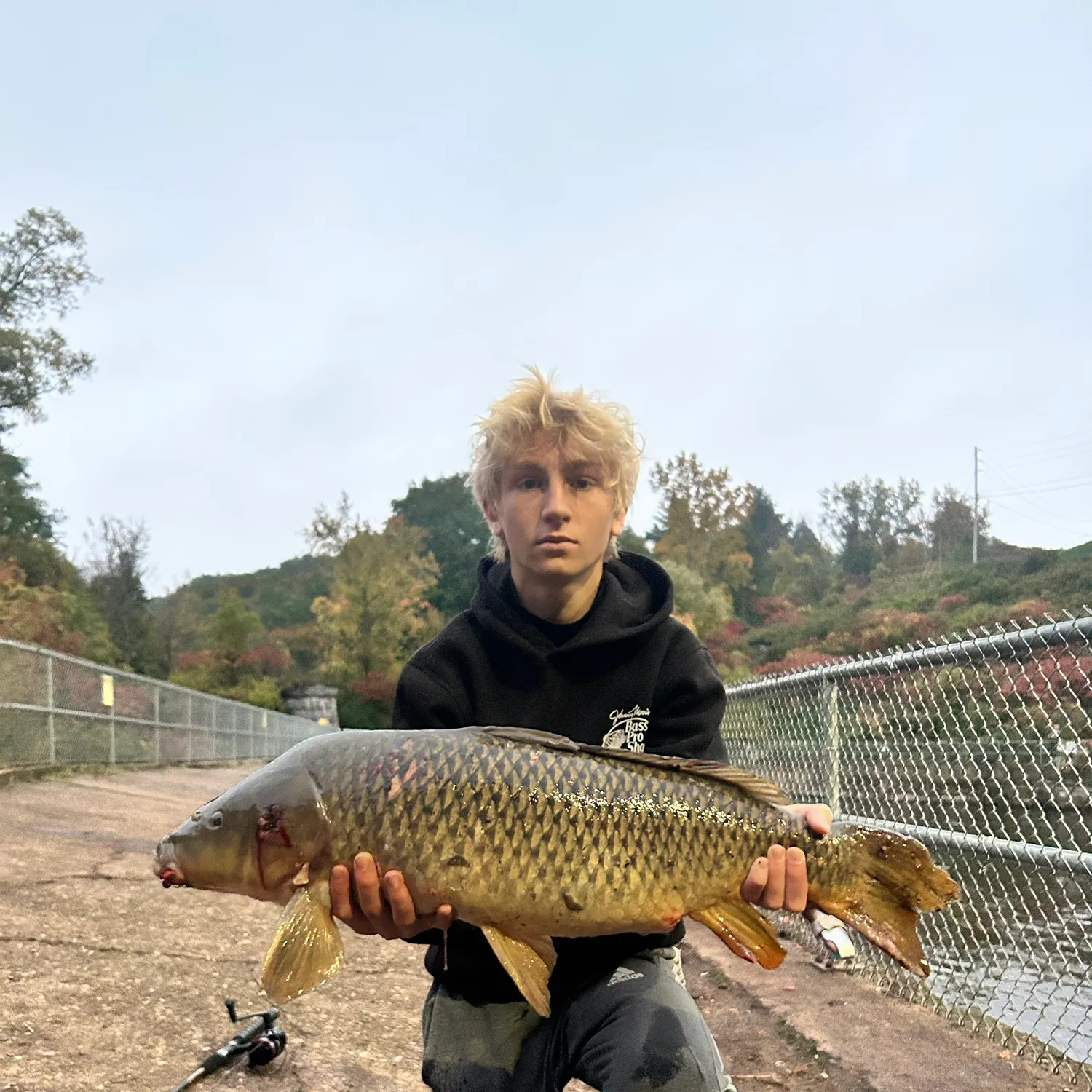 Common carp caught on Fishbrain