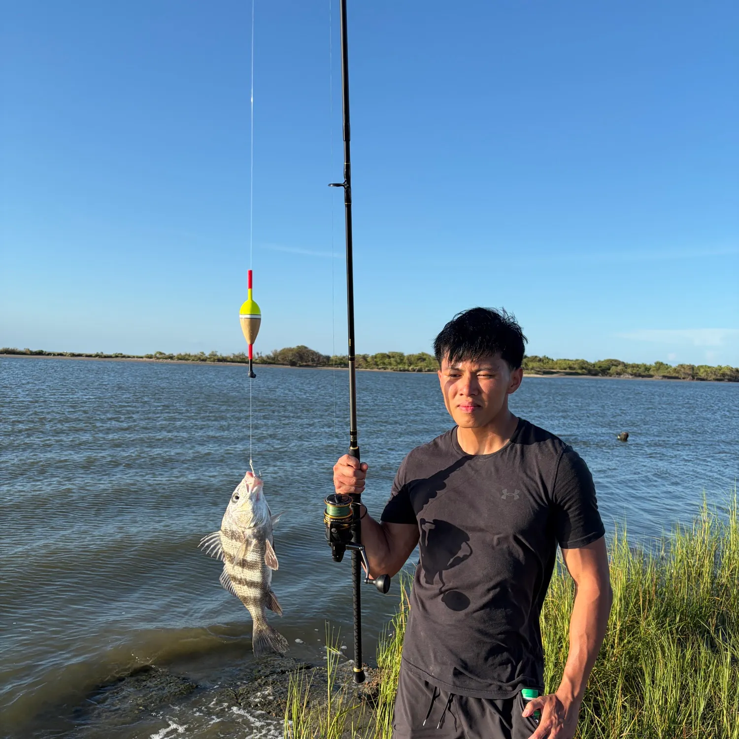 Pinfish caught on Fishbrain