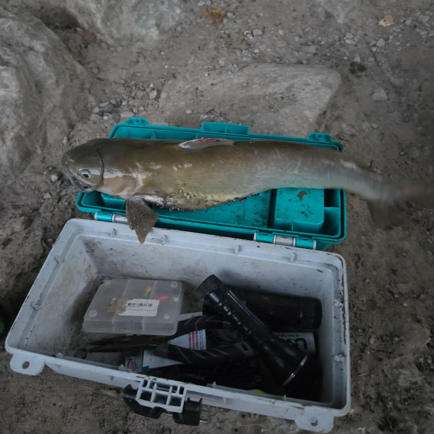 catch