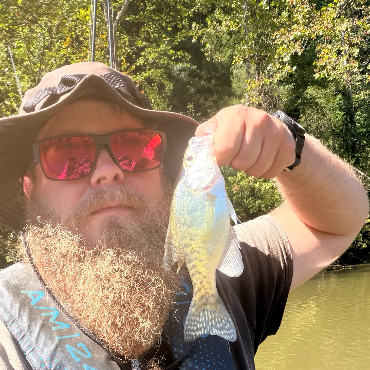 White crappie caught on Fishbrain