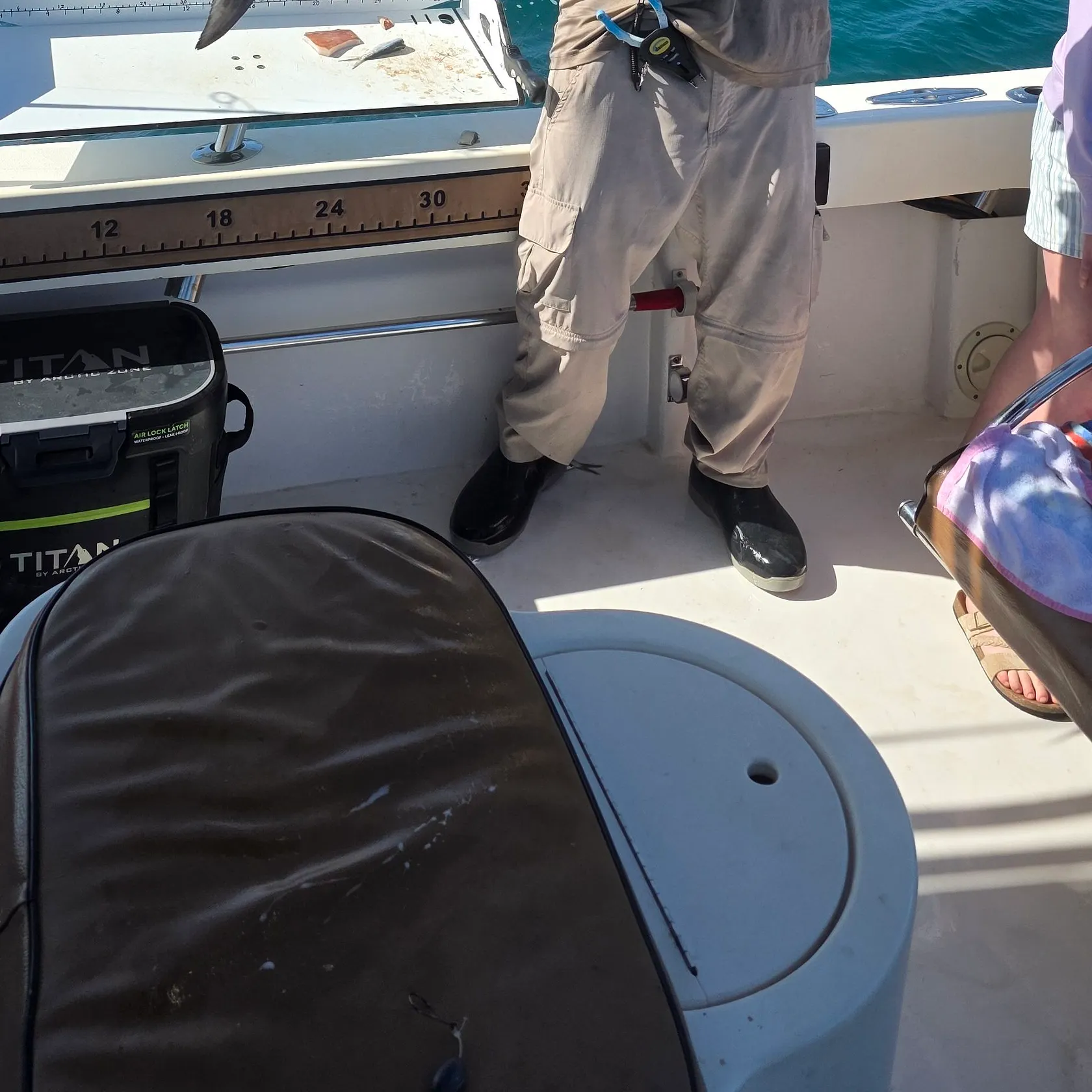 The most recent Cobia catches on Fishbrain