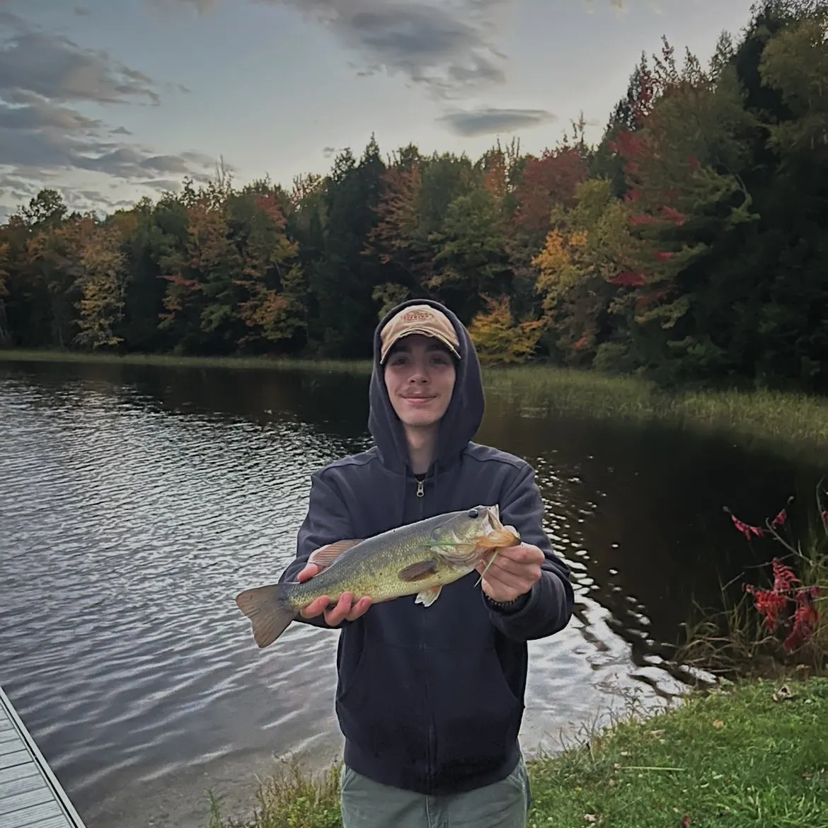Largemouth bass caught on Fishbrain