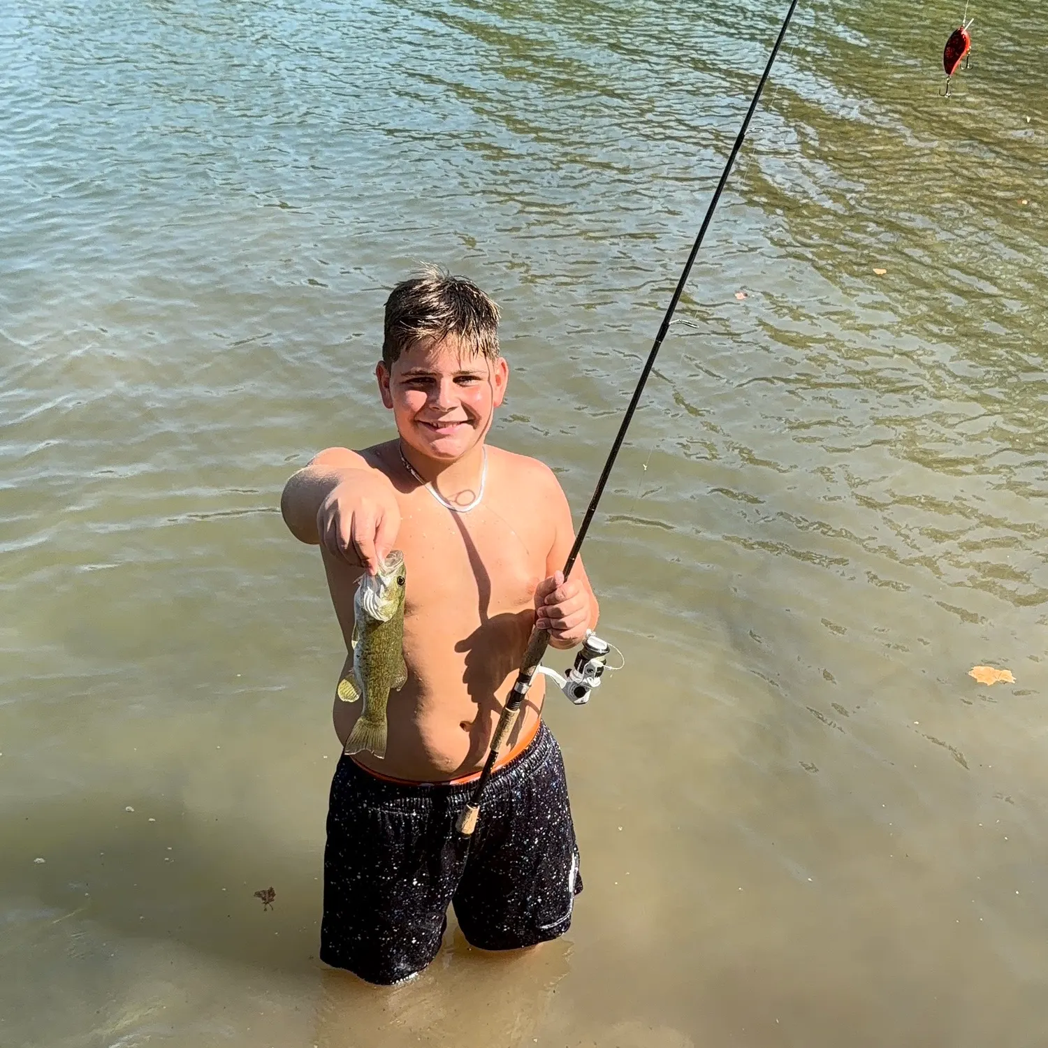 Smallmouth bass caught on Fishbrain