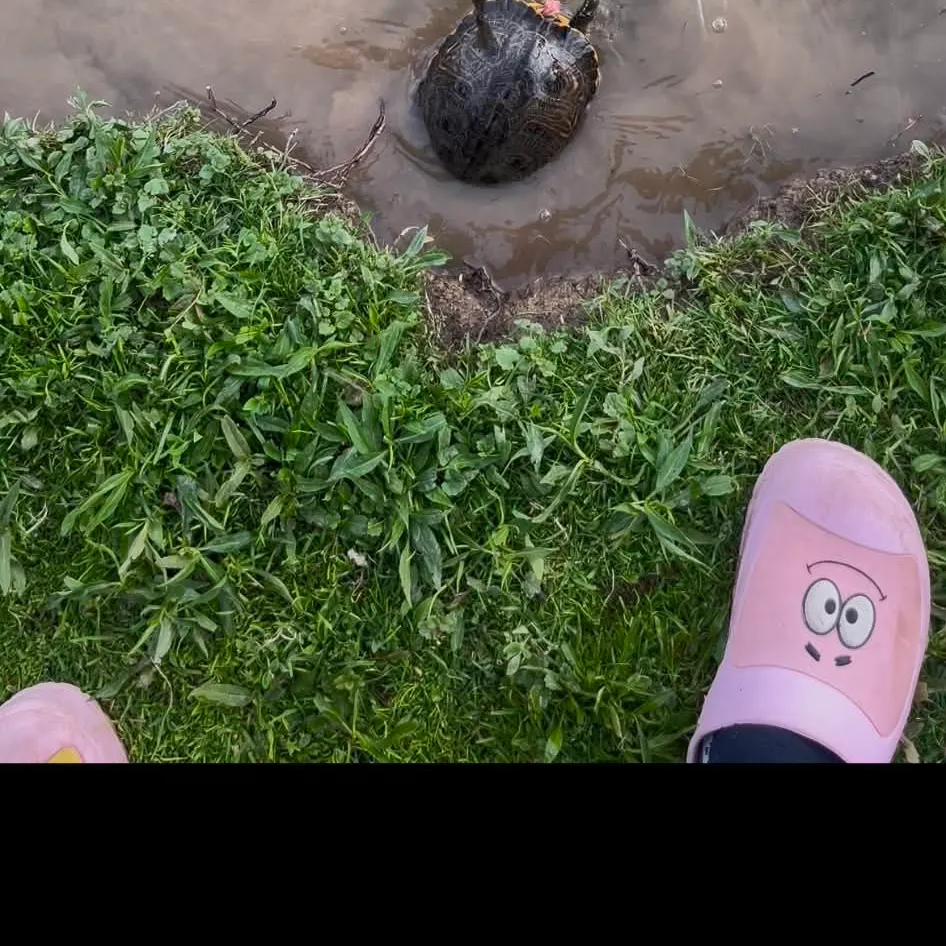 Fish caught on Fishbrain