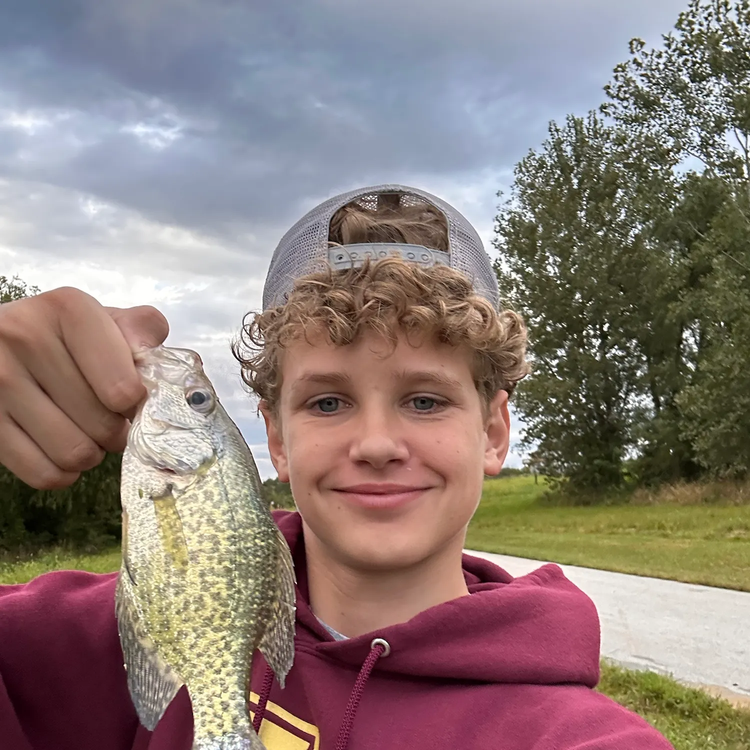 Black crappie caught on Fishbrain