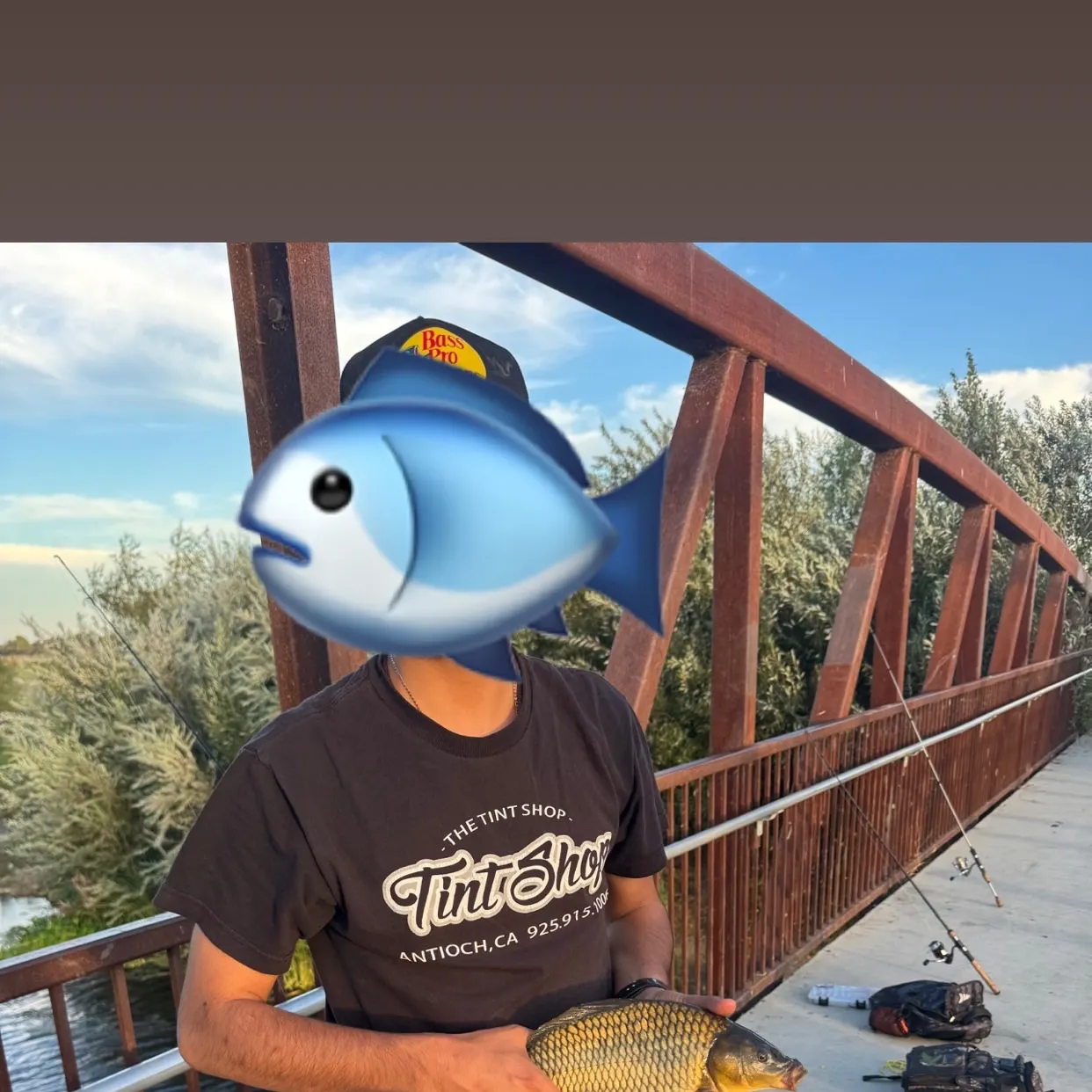 Common carp caught on Fishbrain