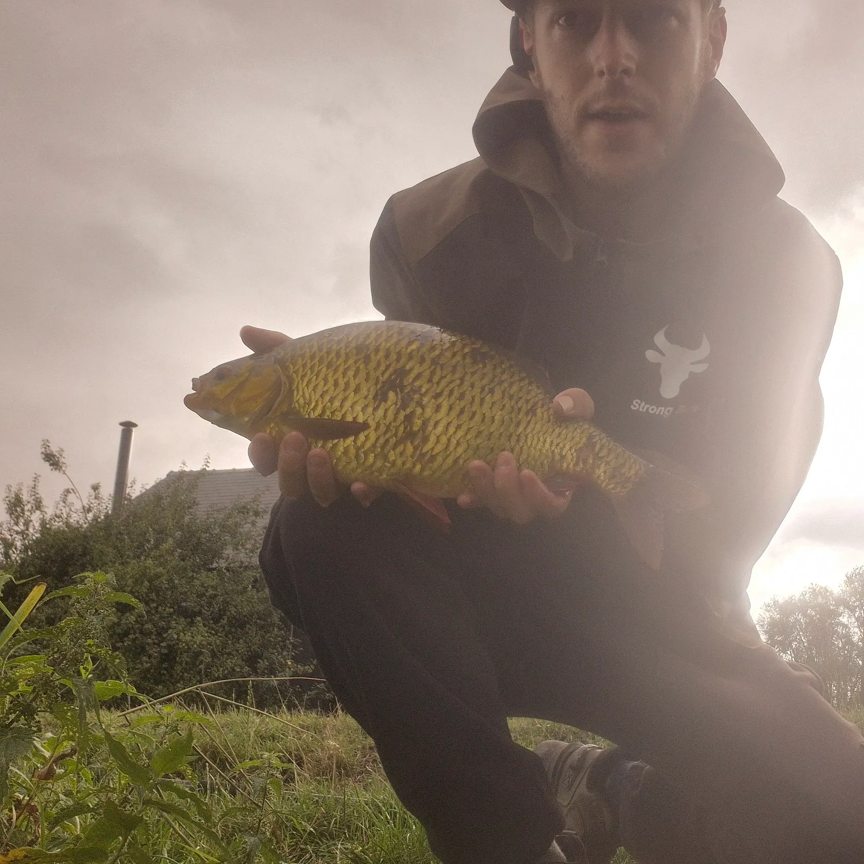 Common rudd caught on Fishbrain