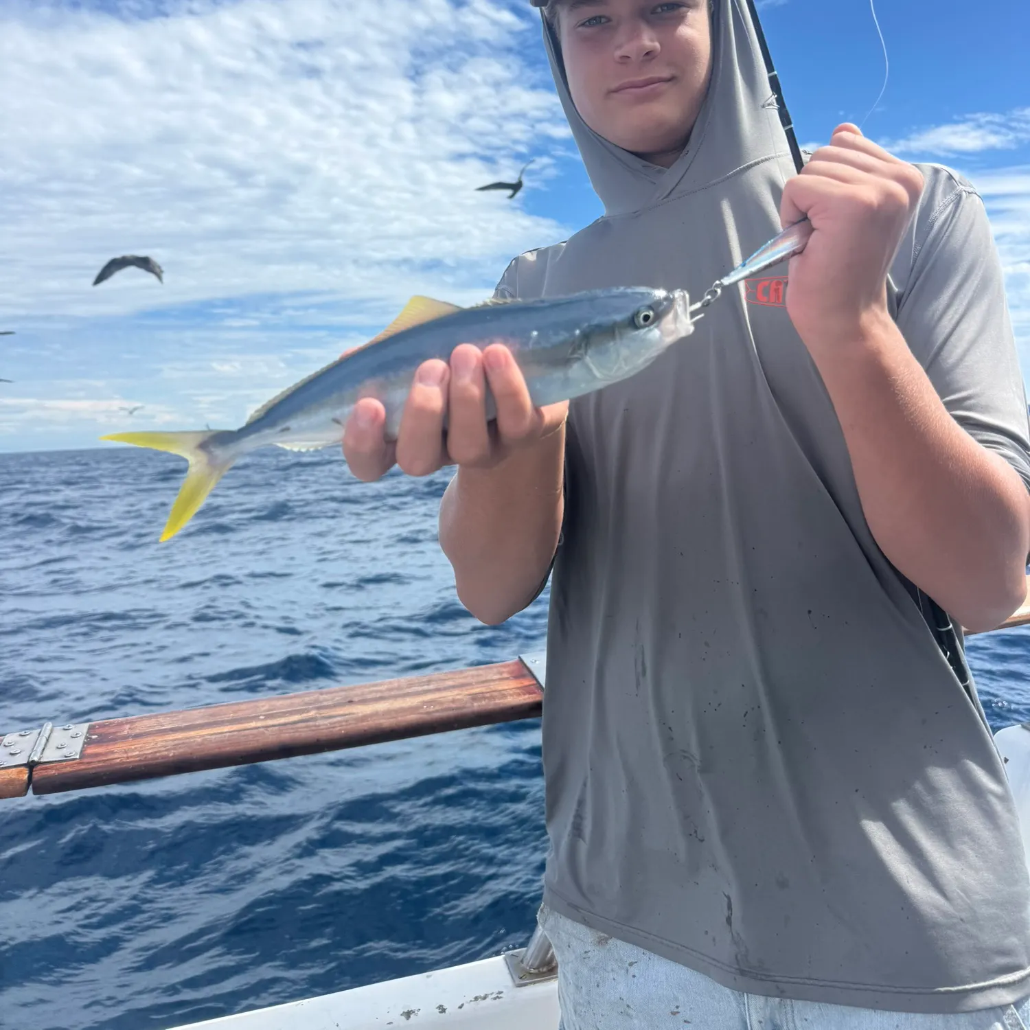The most recent California yellowtail amberjack catches on Fishbrain