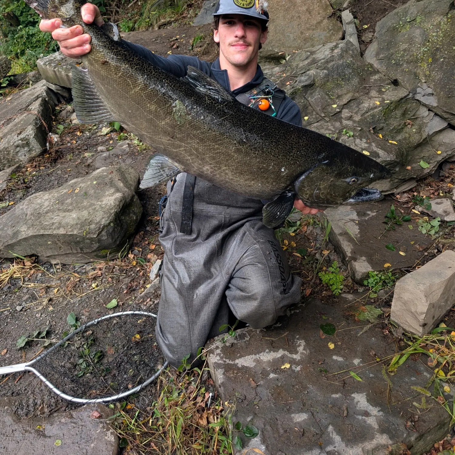 Chinook salmon caught on Fishbrain