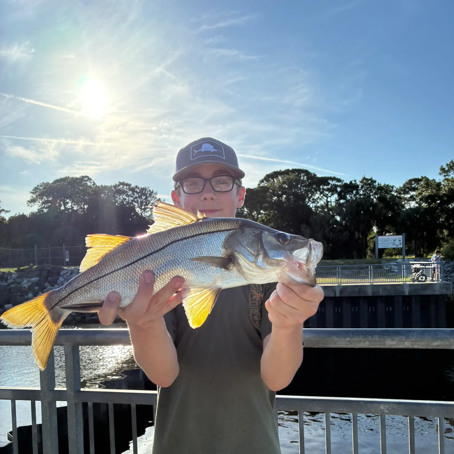 The most recent Fat snook catches on Fishbrain