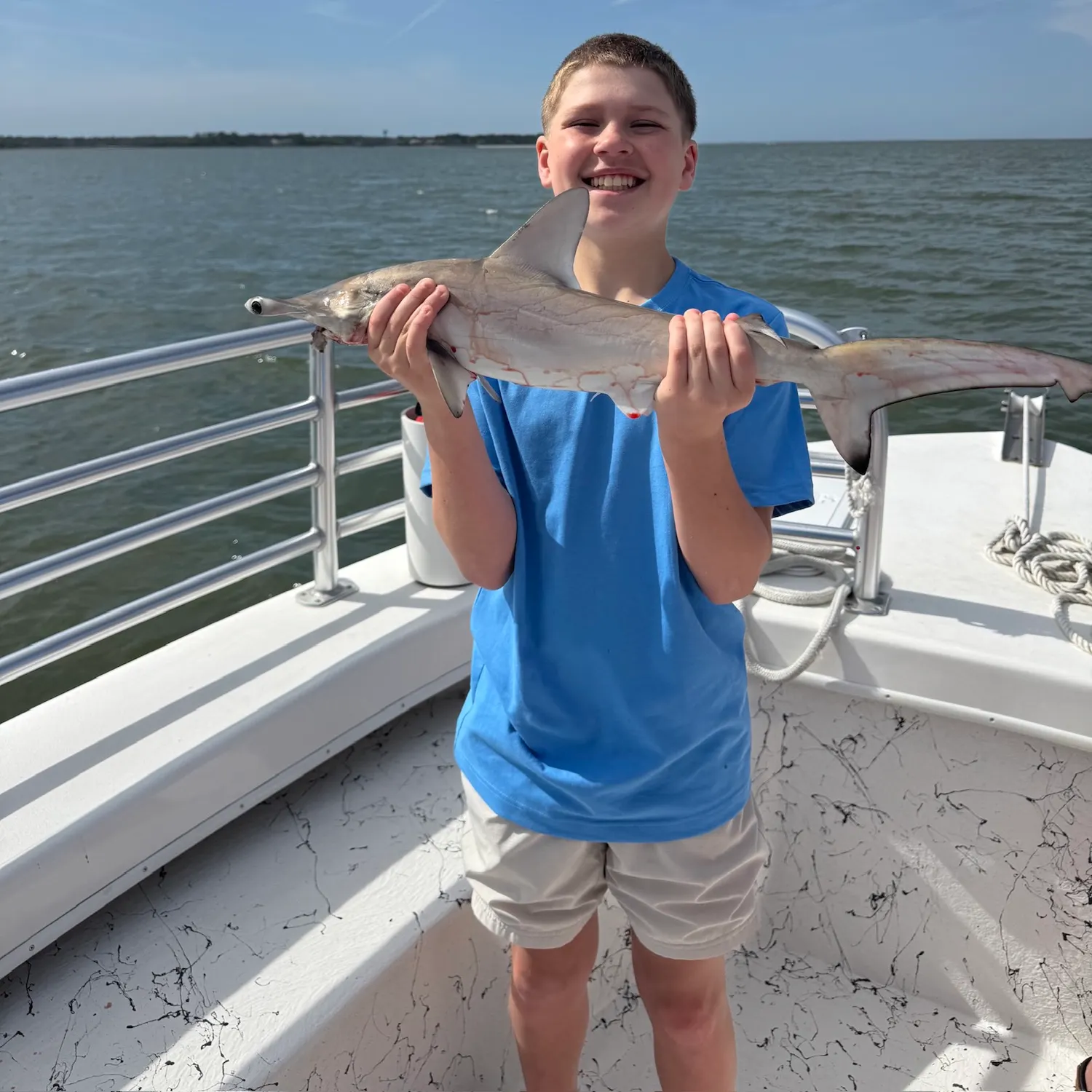 Great hammerhead shark caught on Fishbrain