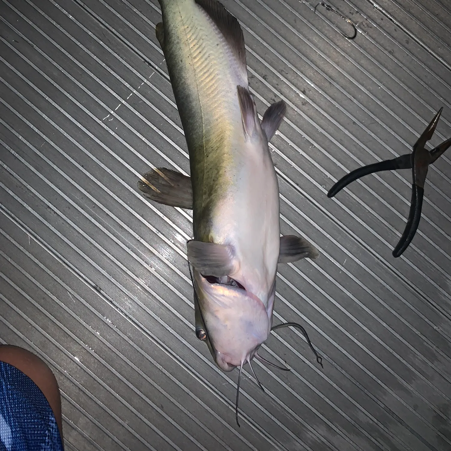 catch