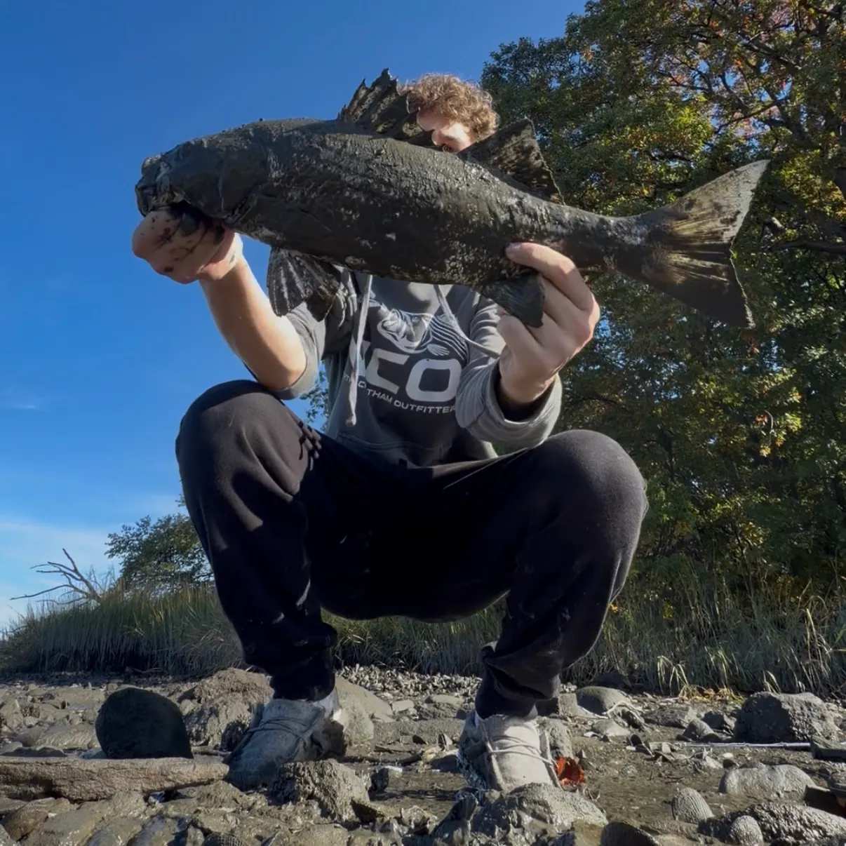 Striped bass caught on Fishbrain