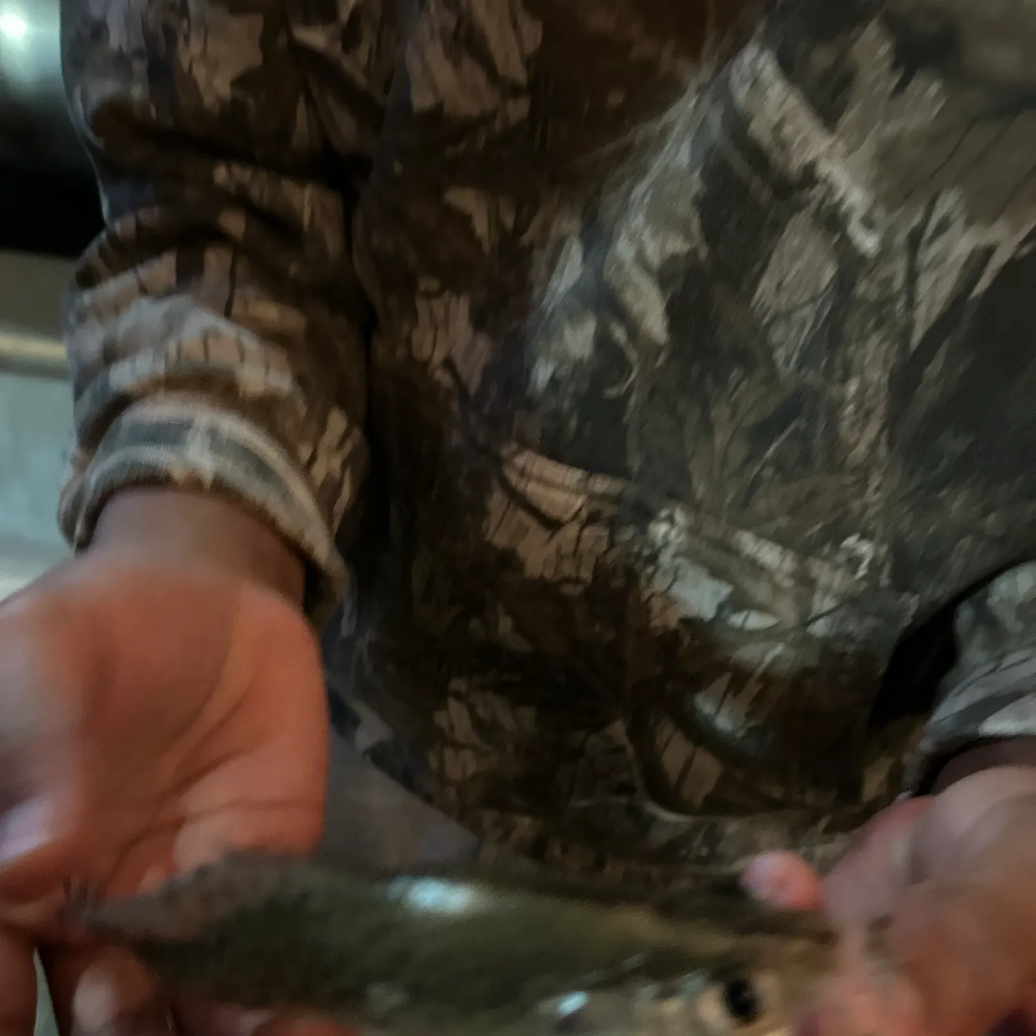 The most recent Magnolia crappie catches on Fishbrain