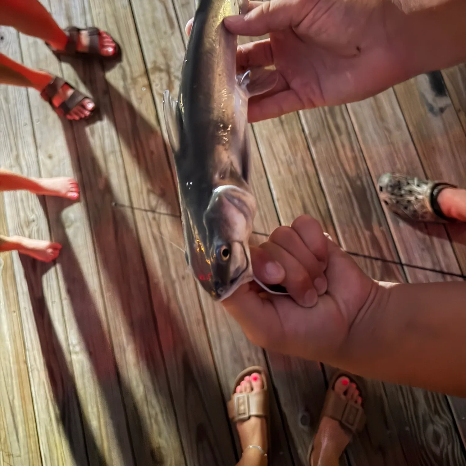 catch