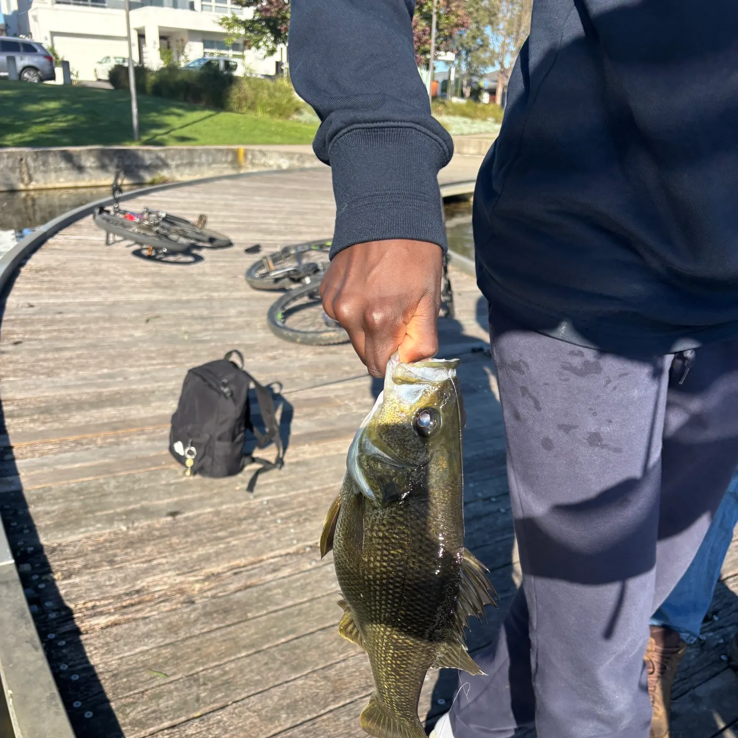 catch