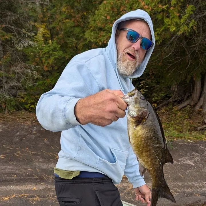 Smallmouth bass caught on Fishbrain