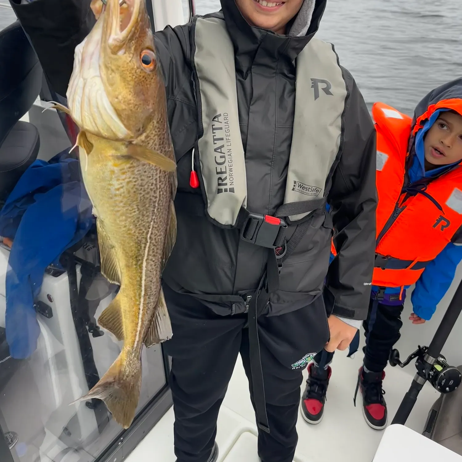 Atlantic cod caught on Fishbrain
