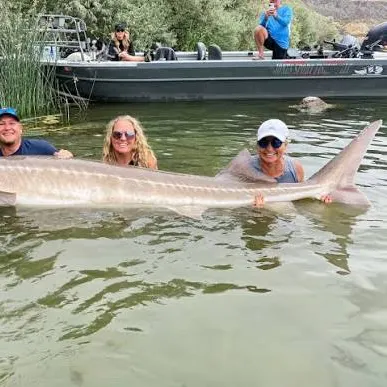 The most recent Lake sturgeon catches on Fishbrain