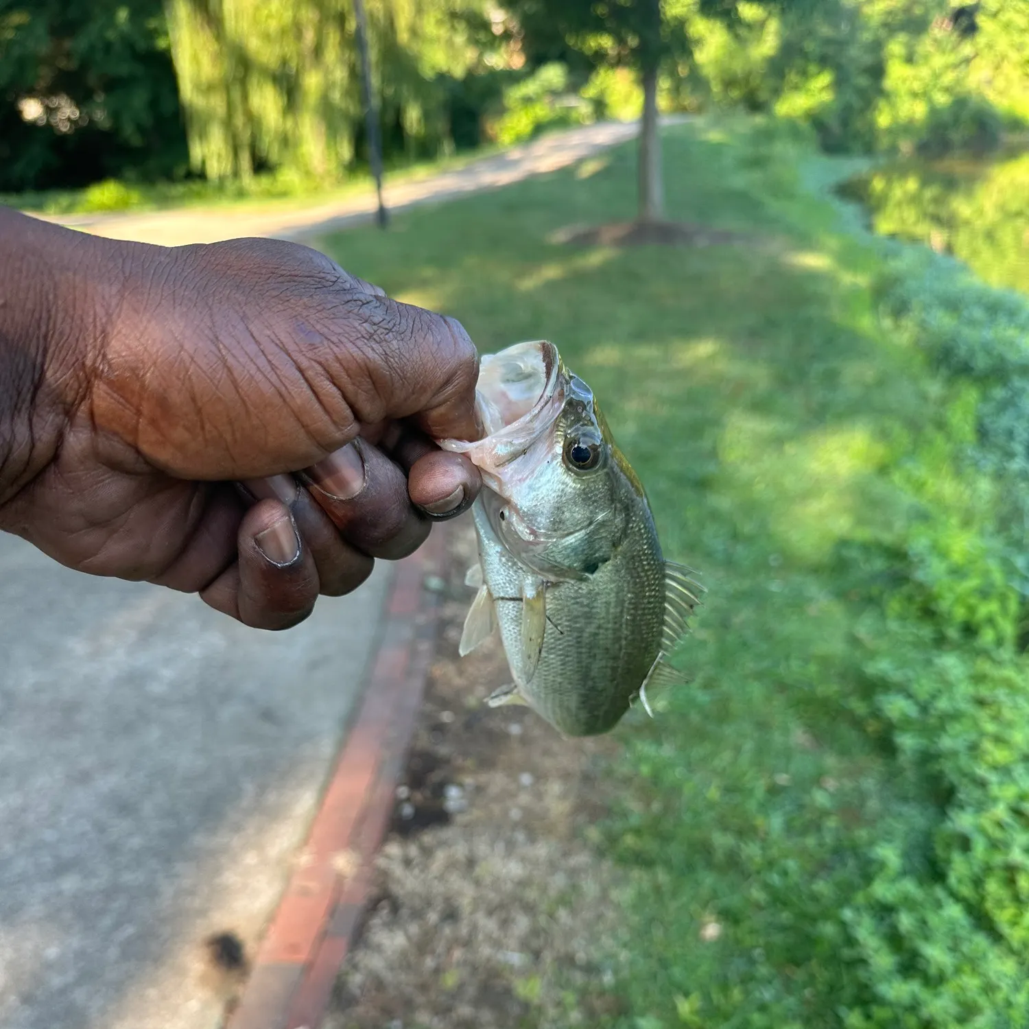 catch