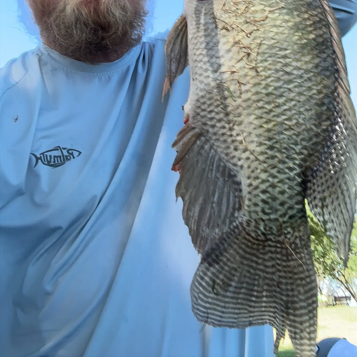Nile tilapia caught on Fishbrain
