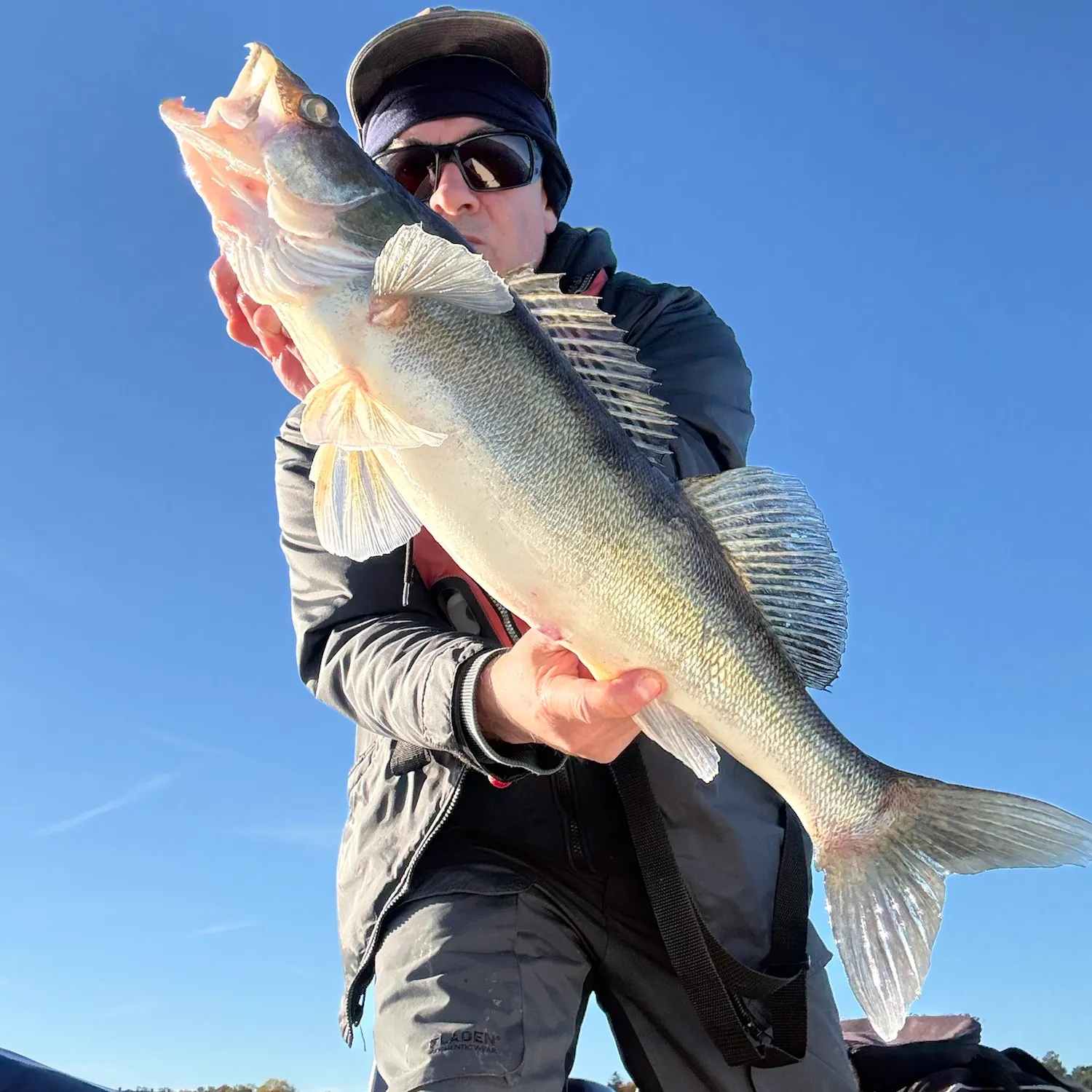 Zander caught on Fishbrain