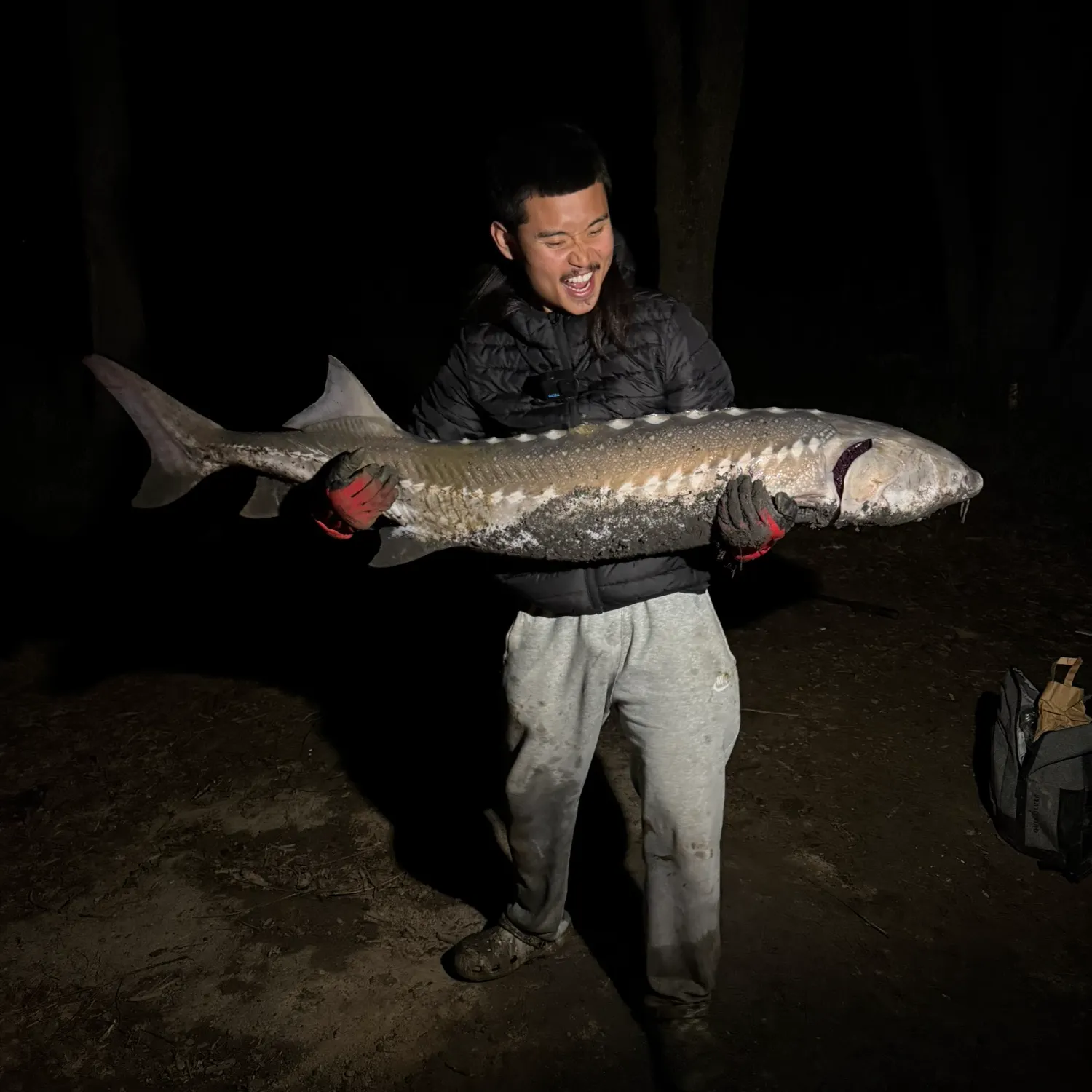 The most recent White sturgeon catches on Fishbrain