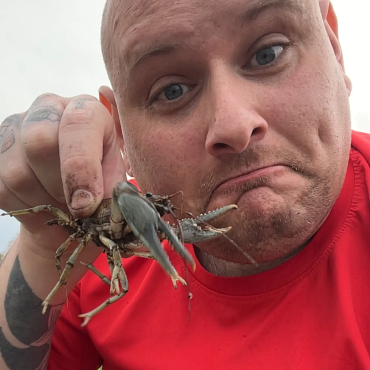 The most recent Northern clearwater crayfish catches on Fishbrain