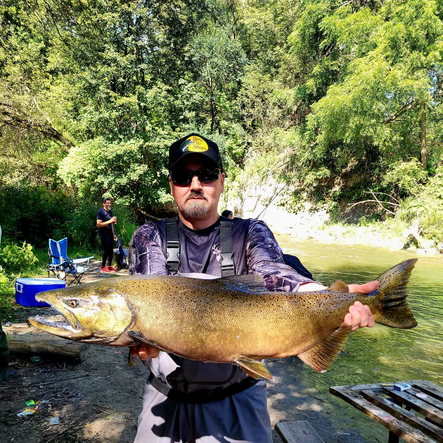 Chinook salmon caught on Fishbrain