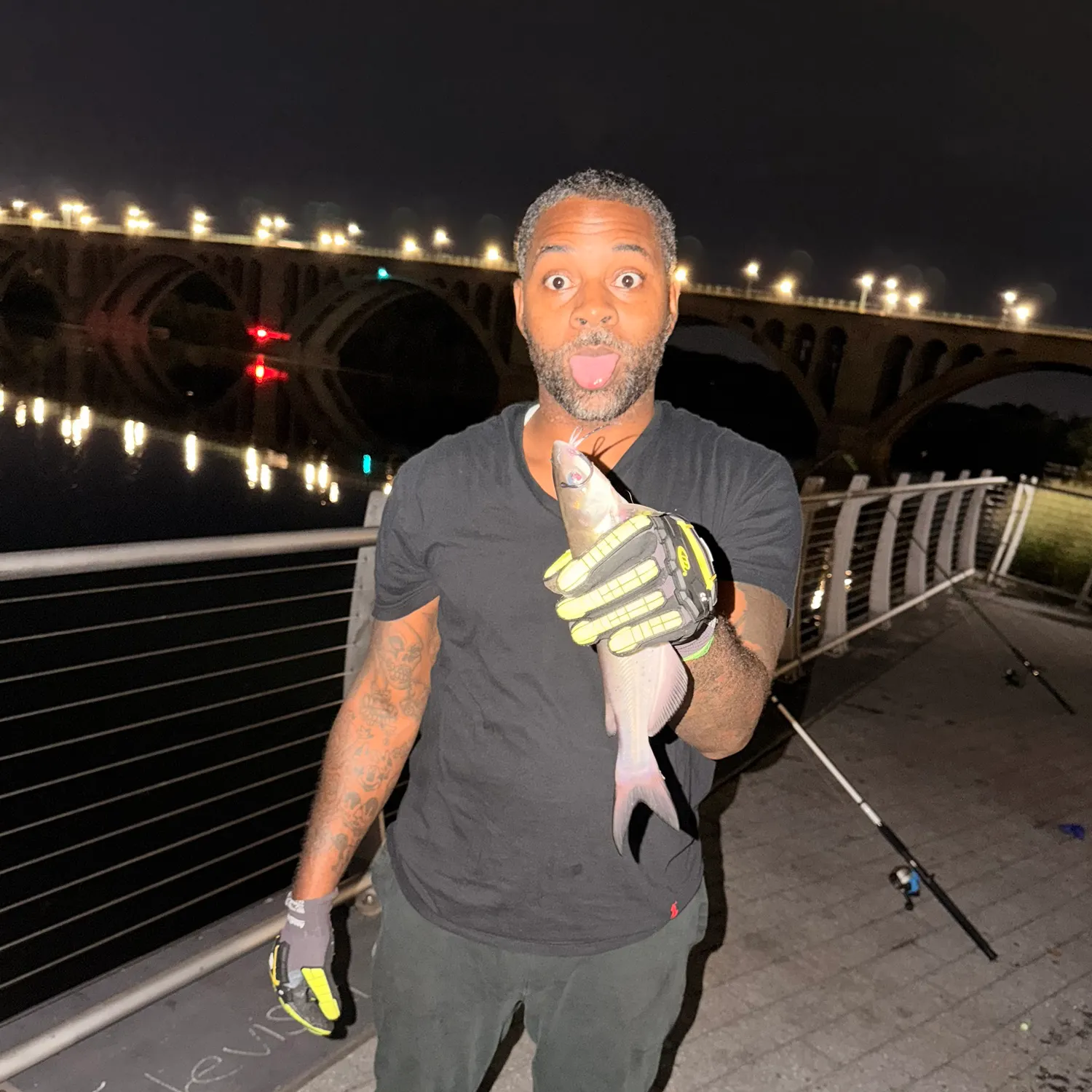 Fish caught on Fishbrain
