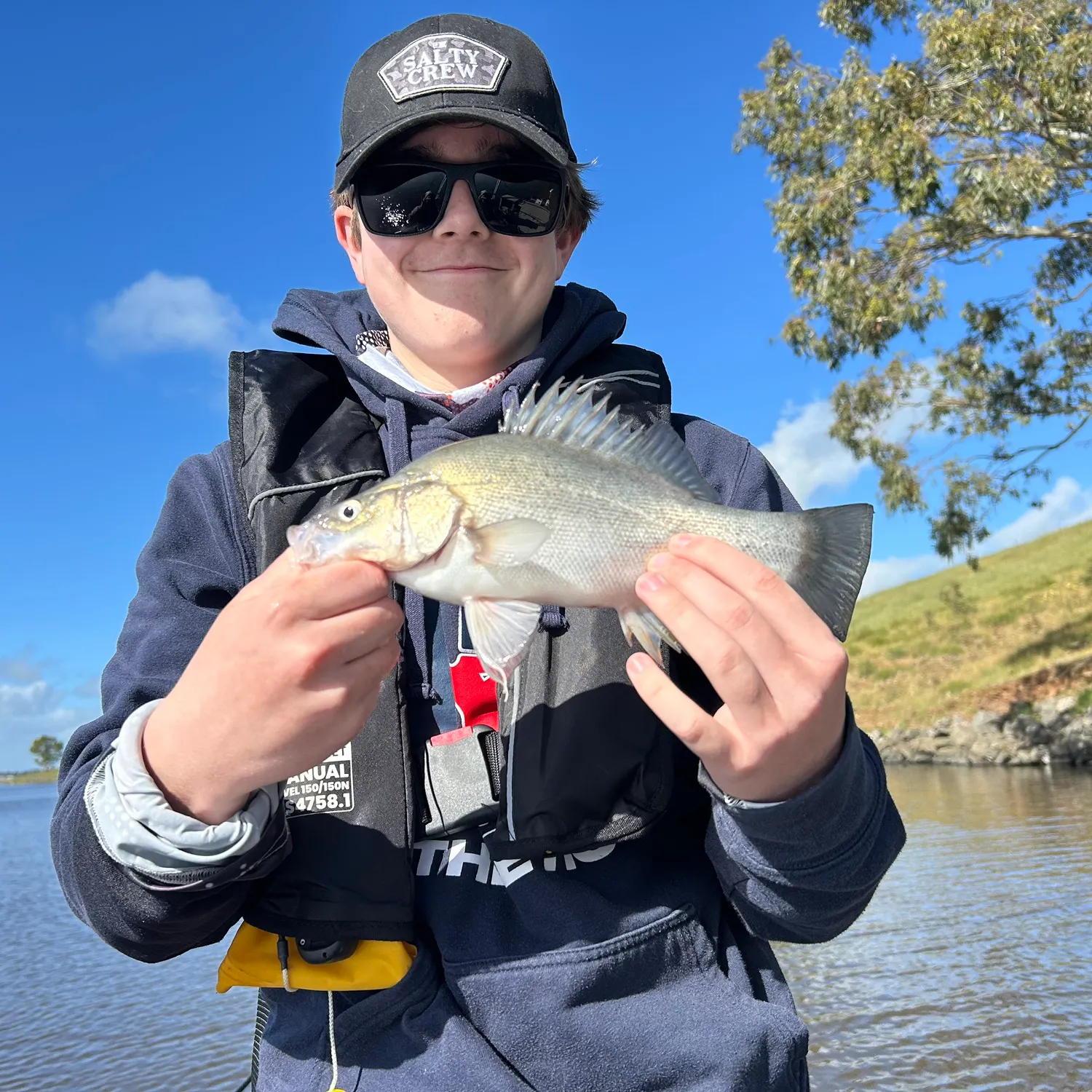 Golden perch caught on Fishbrain