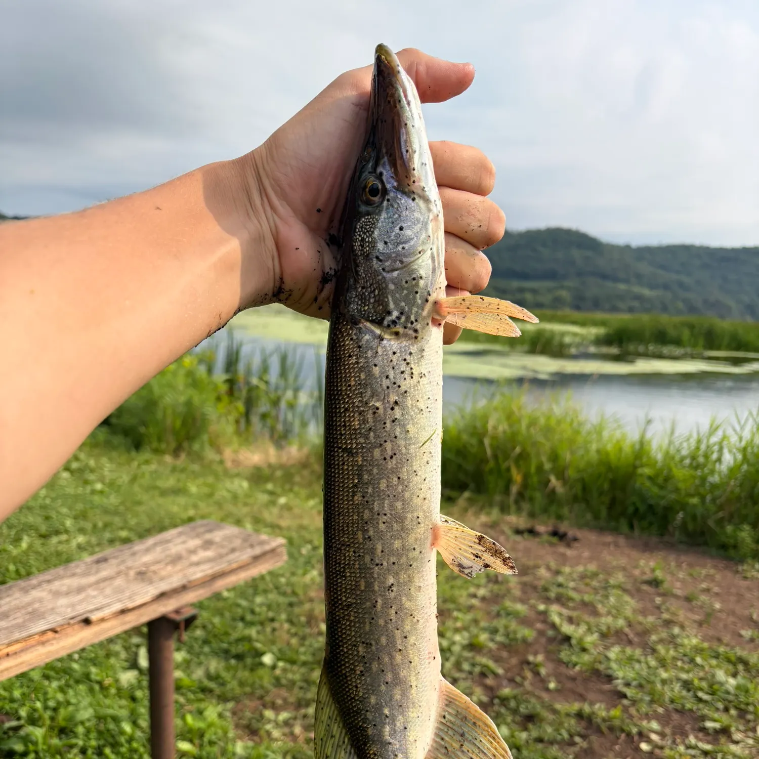 catch