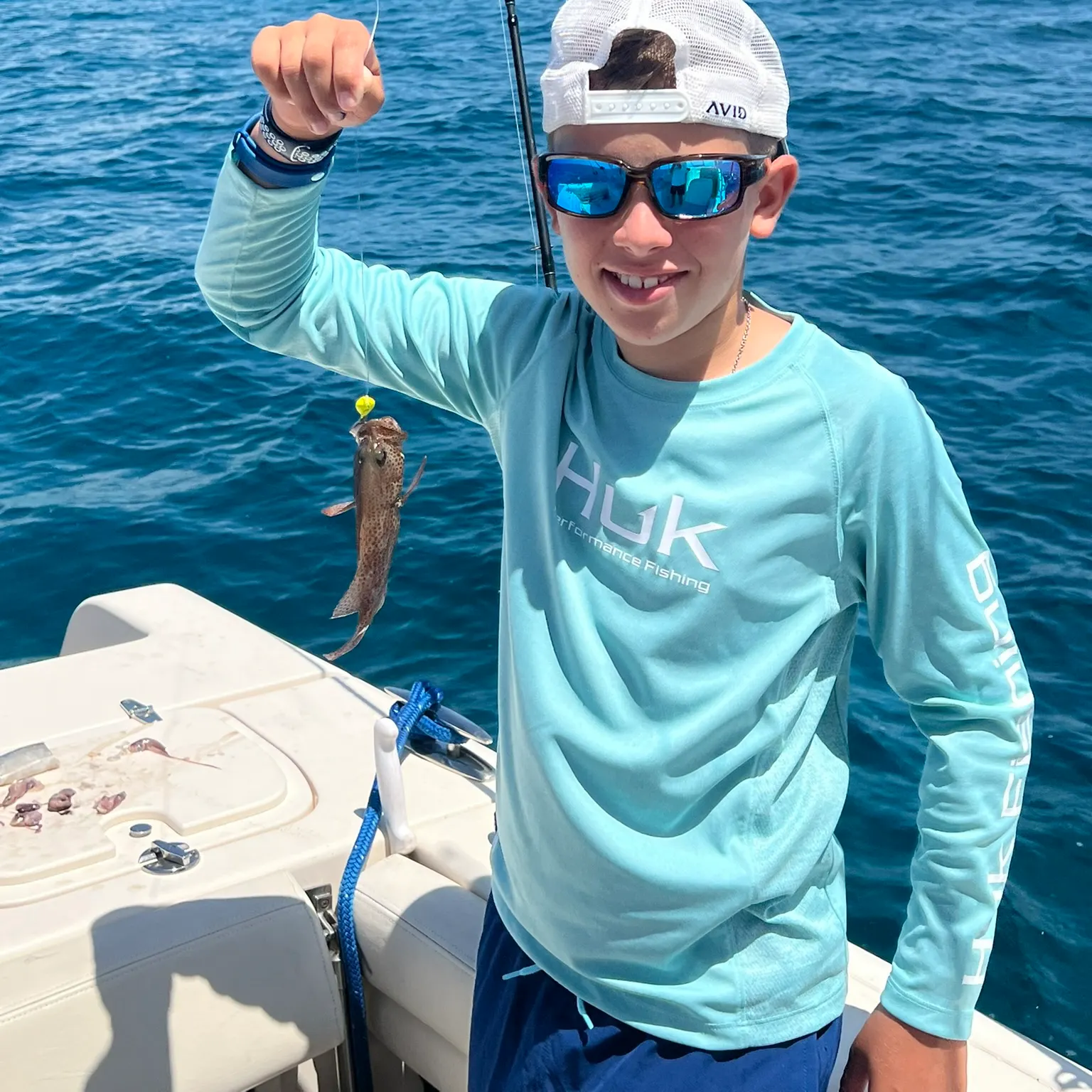 The most recent Strawberry hind catches on Fishbrain