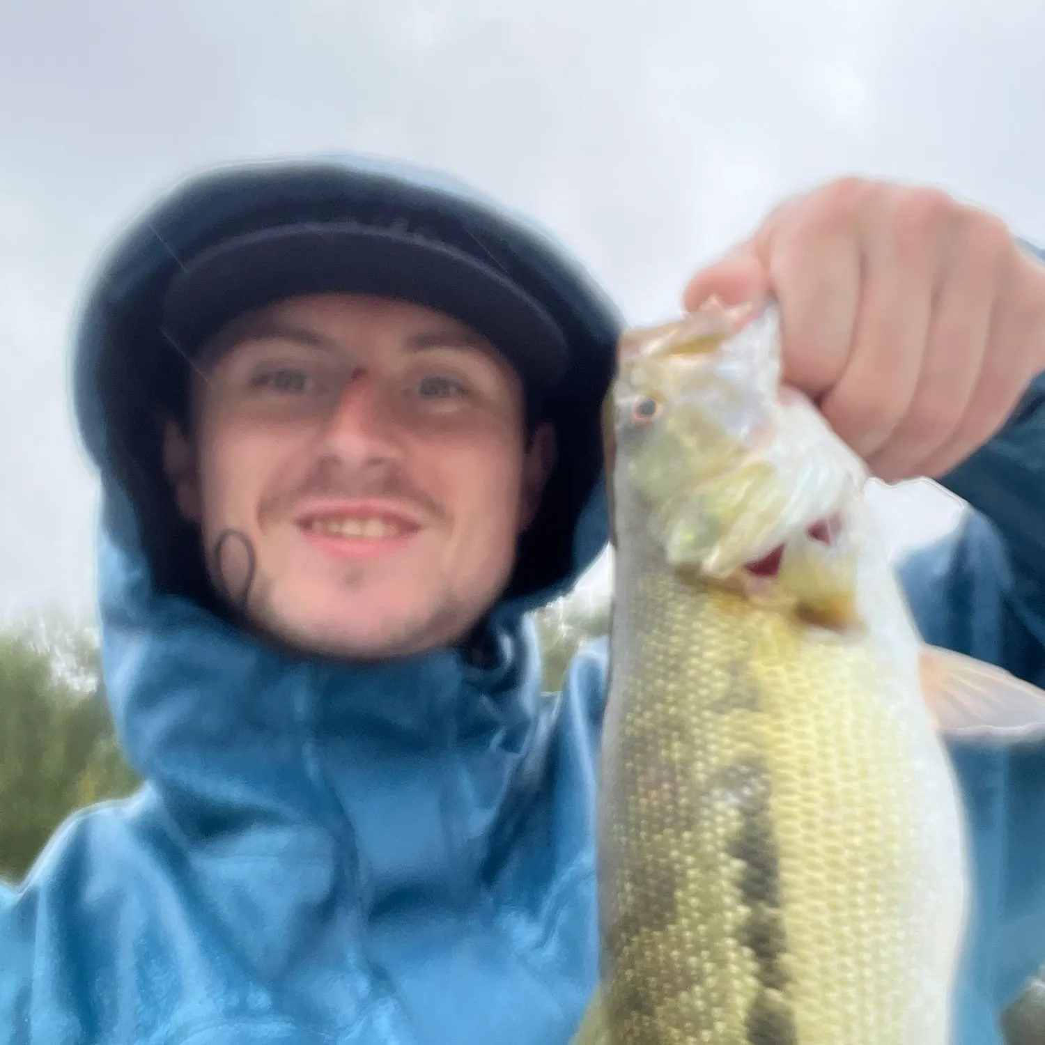 Spotted bass caught on Fishbrain