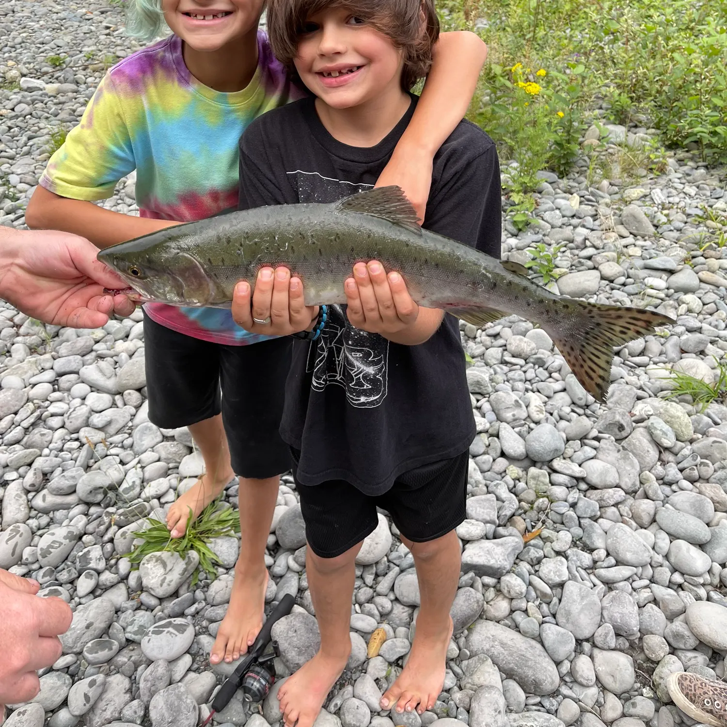 Fish caught on Fishbrain