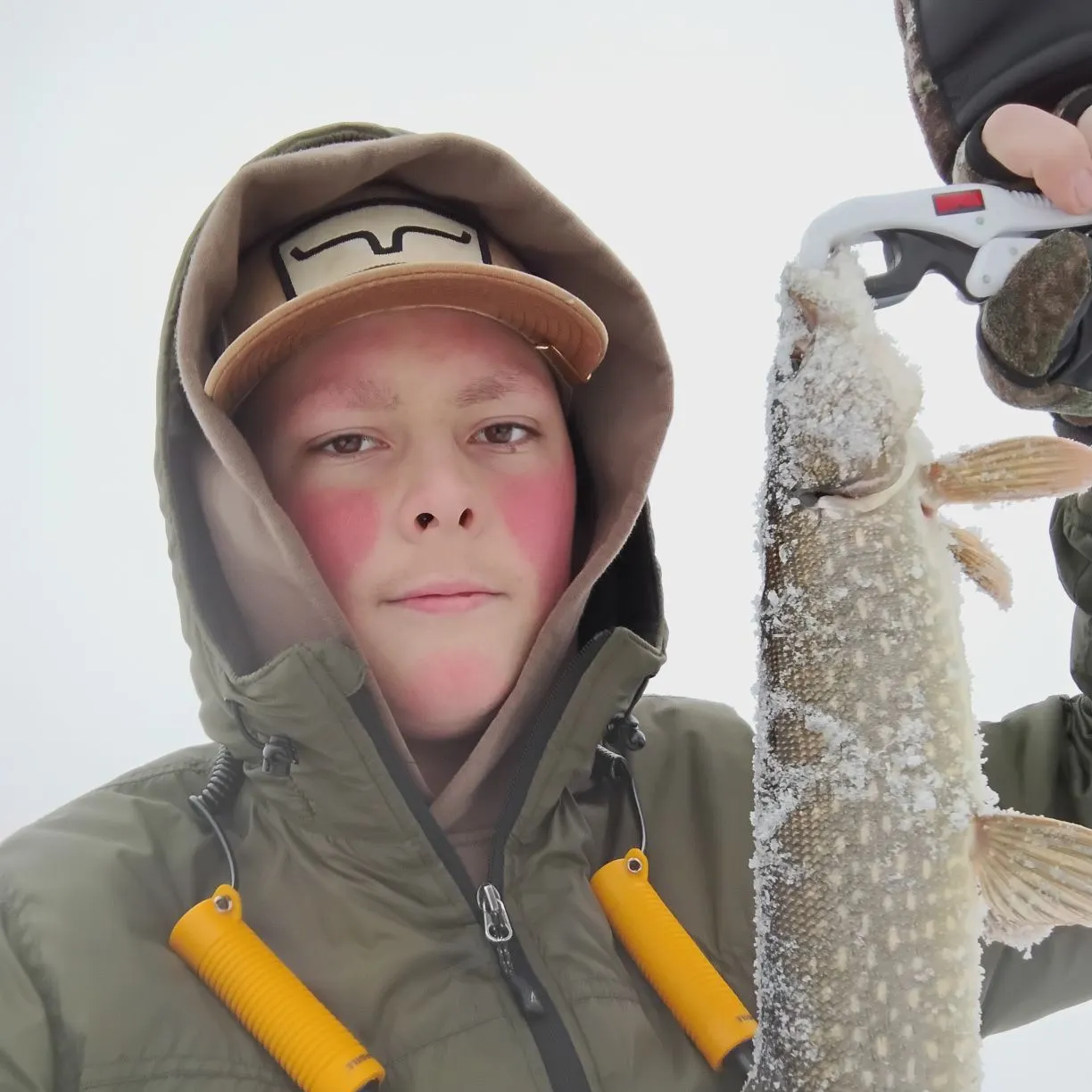 Northern pike caught on Fishbrain