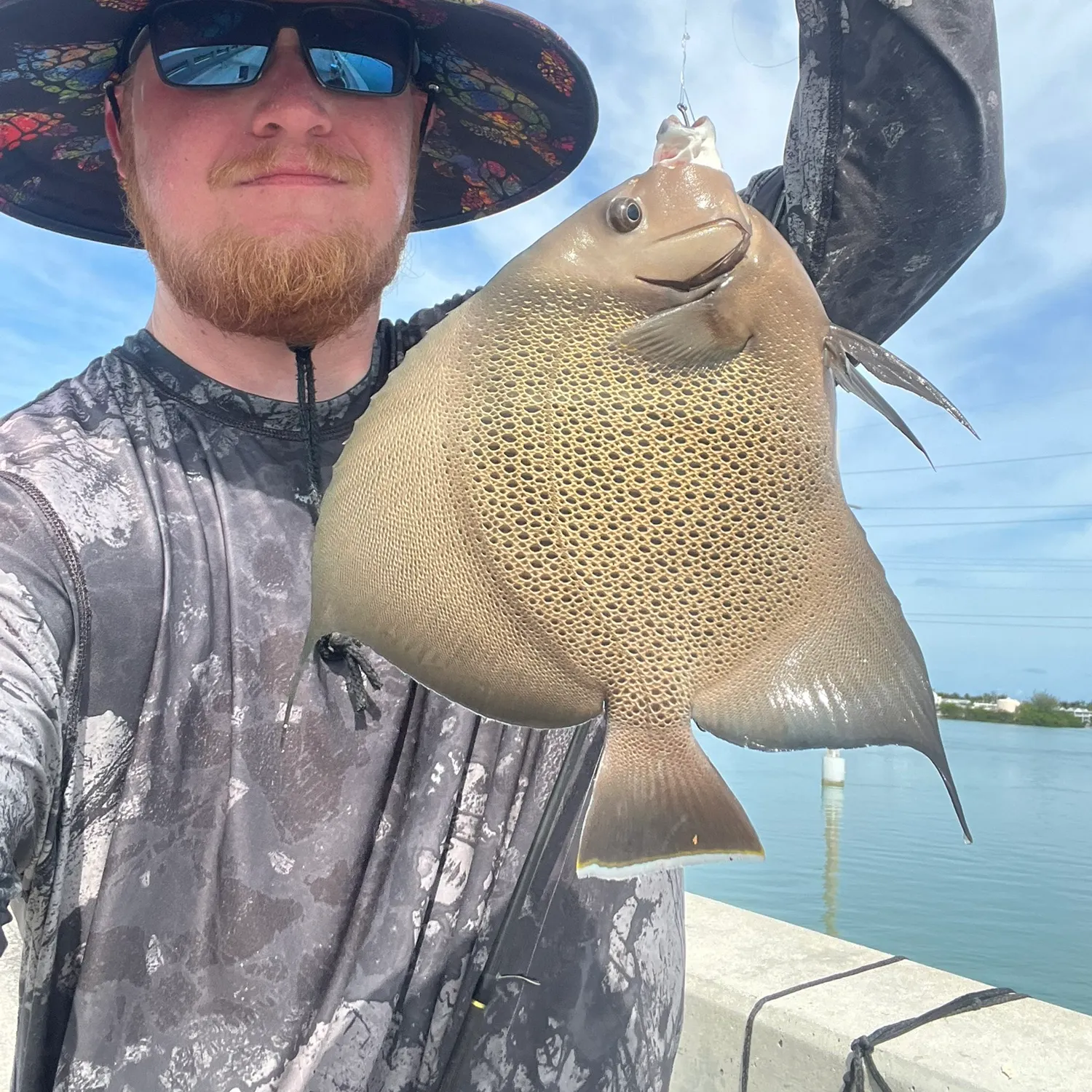 The most recent Gray angelfish catches on Fishbrain