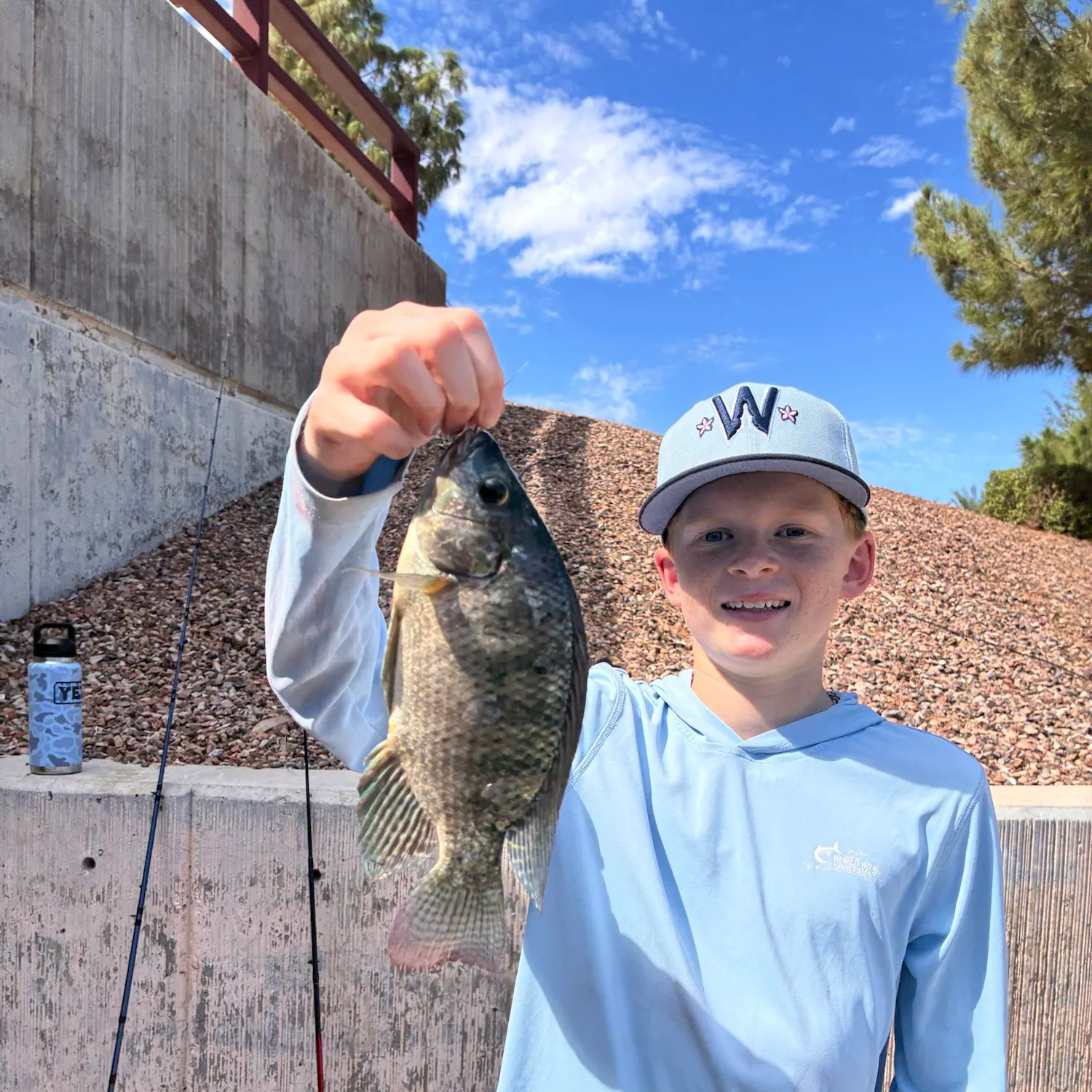 Nile tilapia caught on Fishbrain