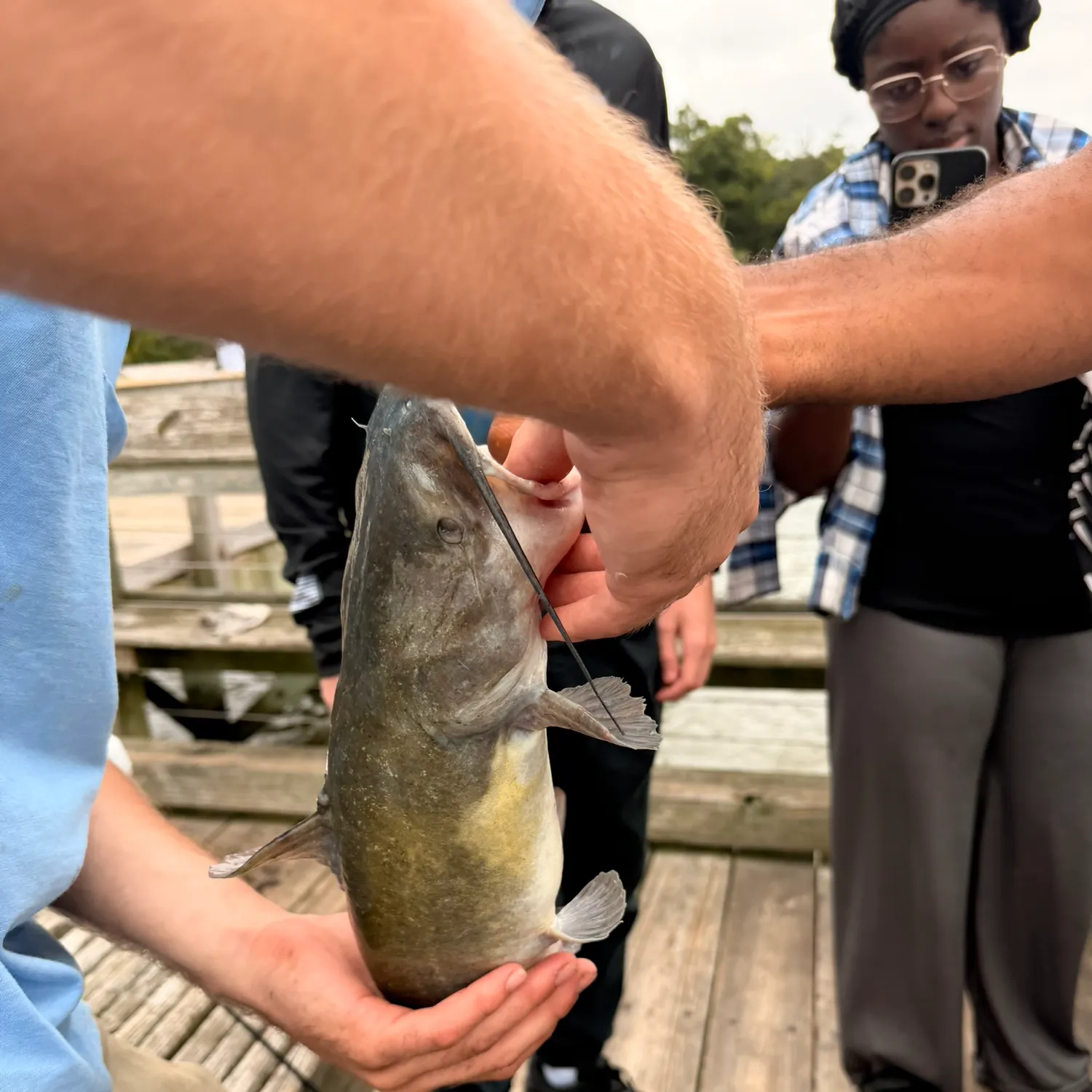Fish caught on Fishbrain