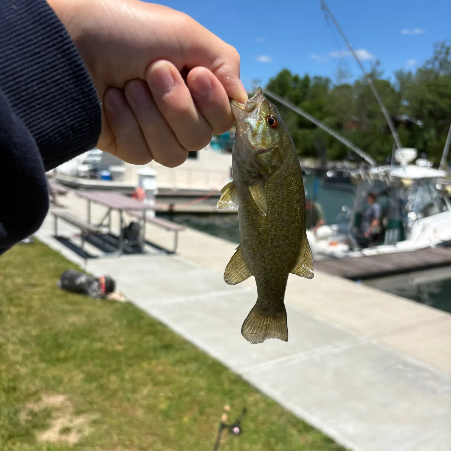 catch
