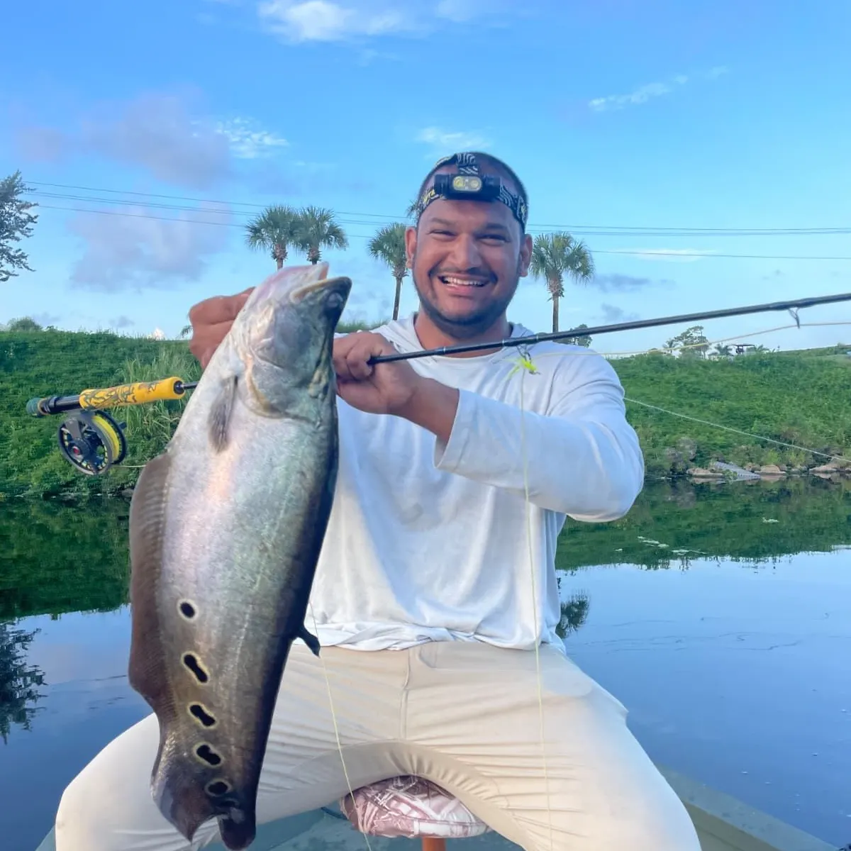 The most recent Clown knifefish catches on Fishbrain