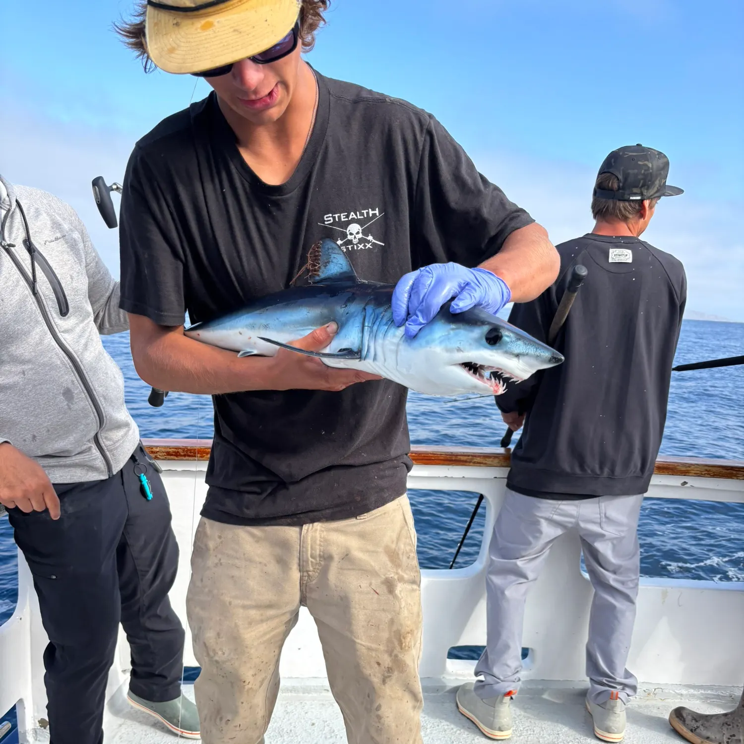 The most recent Shortfin mako shark catches on Fishbrain