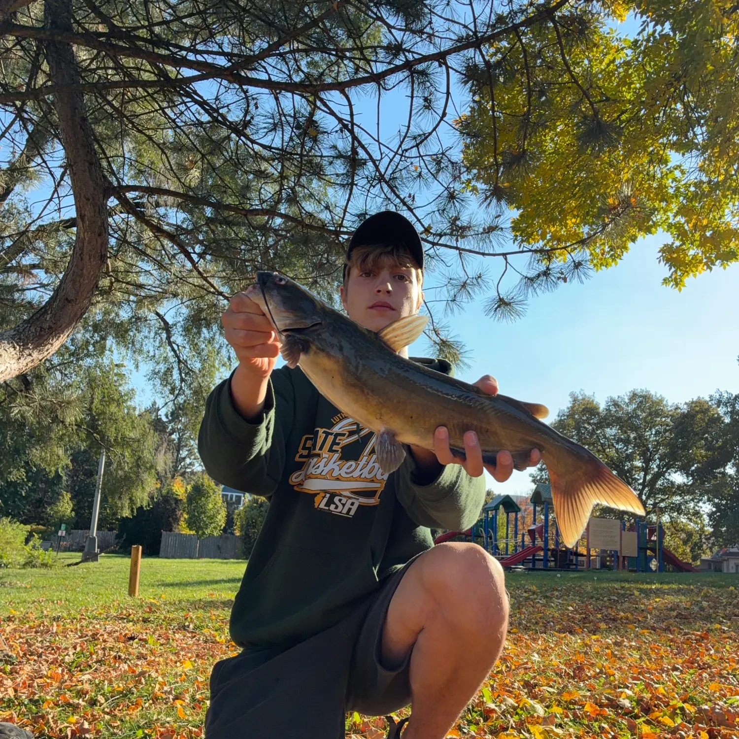 Channel catfish caught on Fishbrain