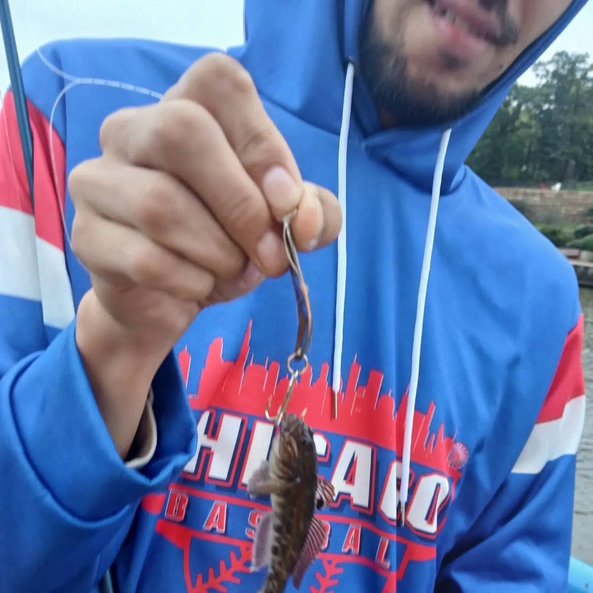 Round goby caught on Fishbrain