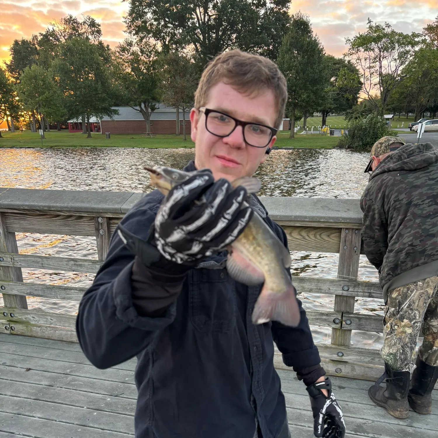 Yellow bullhead caught on Fishbrain