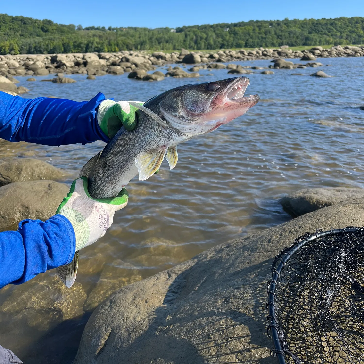 catch