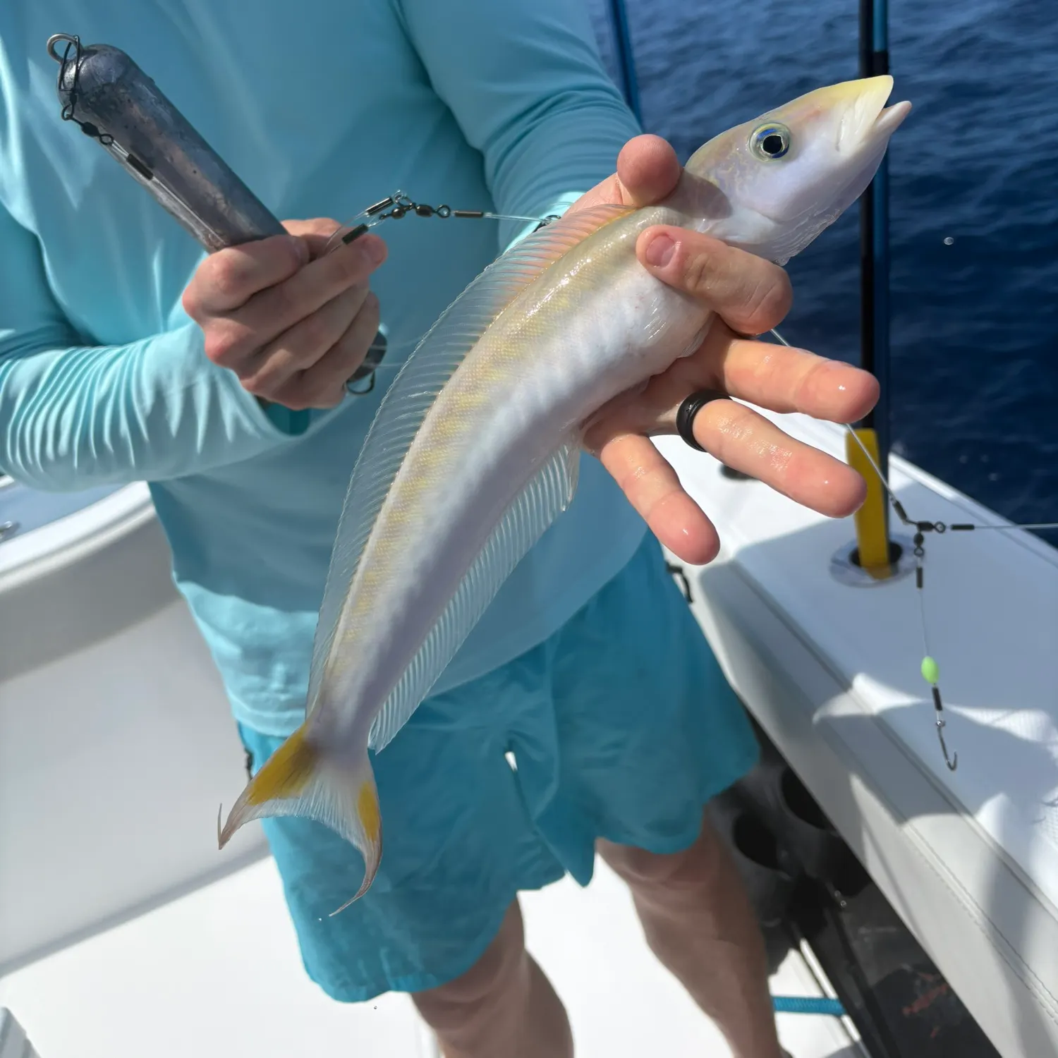The most recent Sand tilefish catches on Fishbrain
