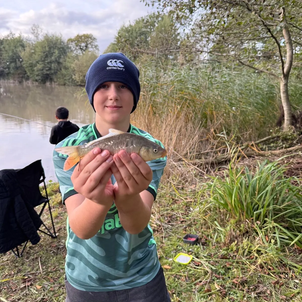 The most recent Mirror carp catches on Fishbrain